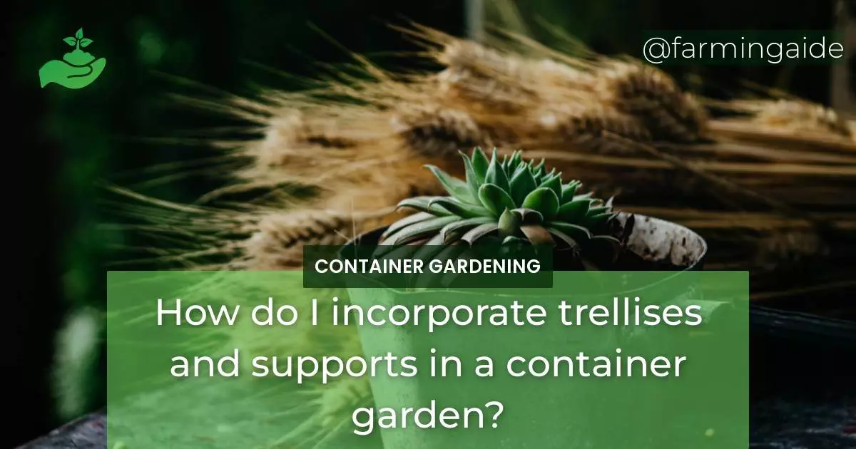 How do I incorporate trellises and supports in a container garden?