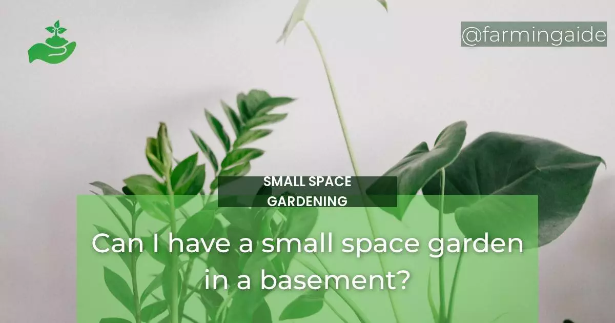 Can I have a small space garden in a basement?