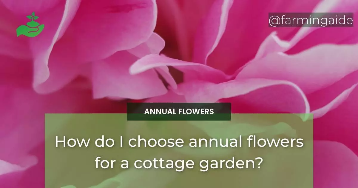 How do I choose annual flowers for a cottage garden?