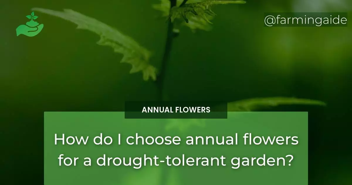 How do I choose annual flowers for a drought-tolerant garden?