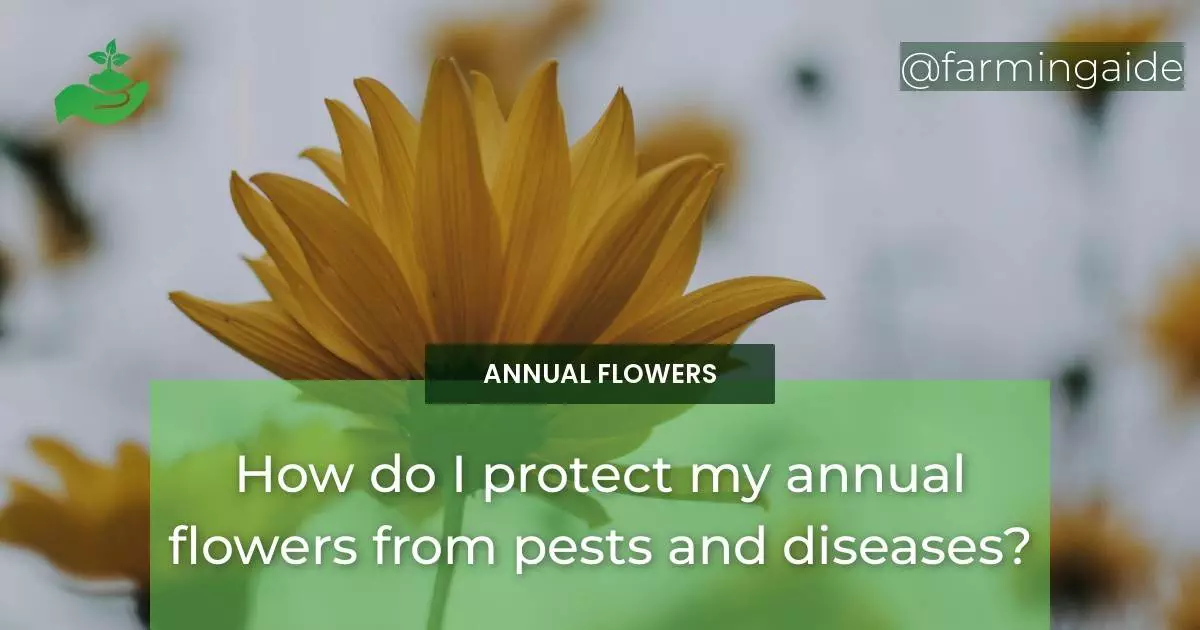 How do I protect my annual flowers from pests and diseases?