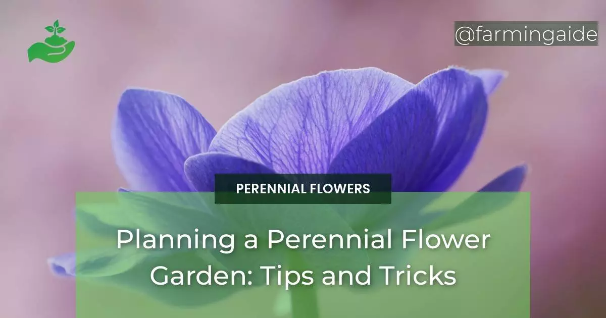 Planning a Perennial Flower Garden: Tips and Tricks