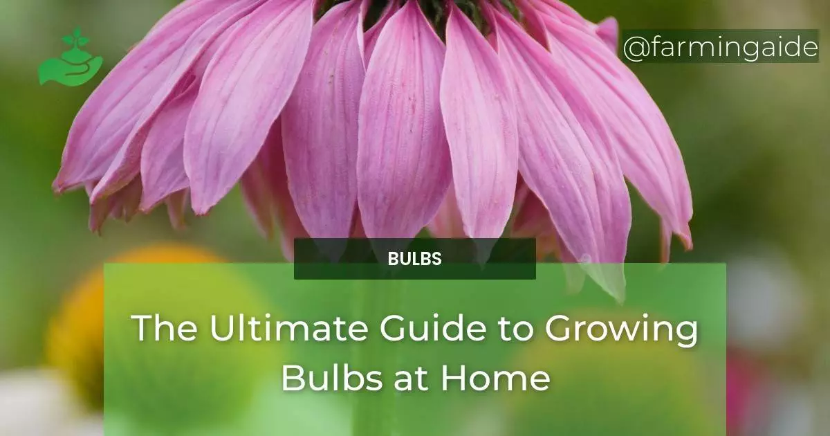 The Ultimate Guide to Growing Bulbs at Home