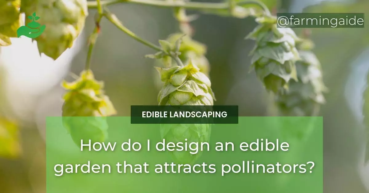 How do I design an edible garden that attracts pollinators?