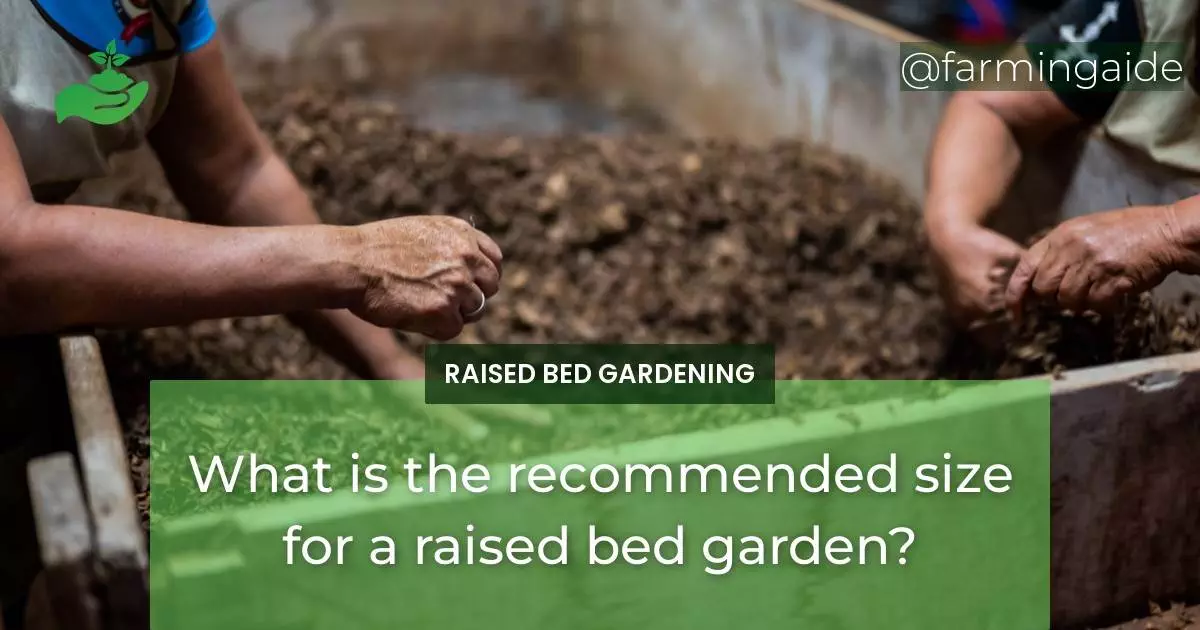 What is the recommended size for a raised bed garden?