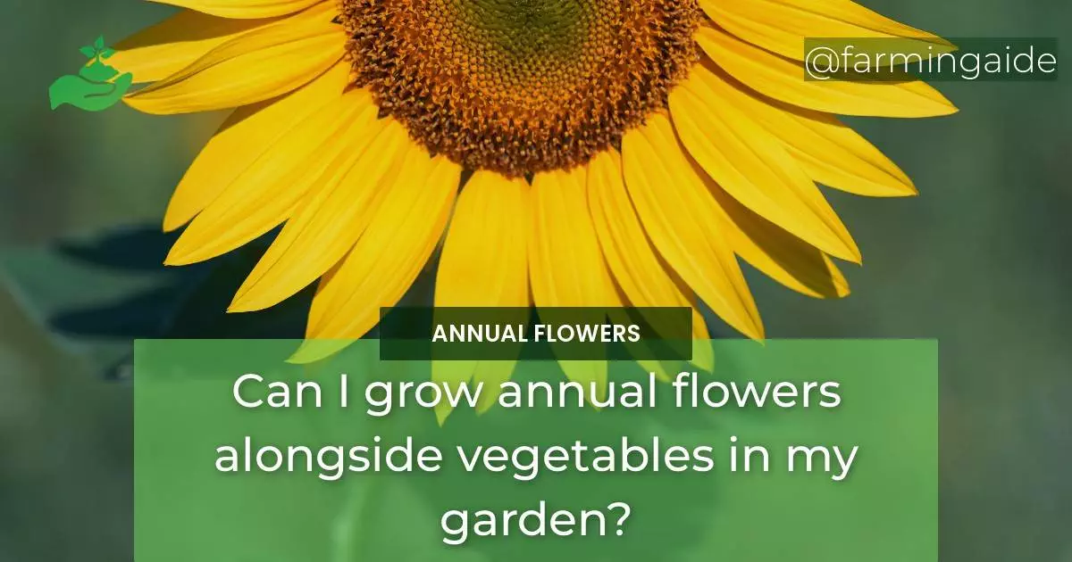 Can I grow annual flowers alongside vegetables in my garden?