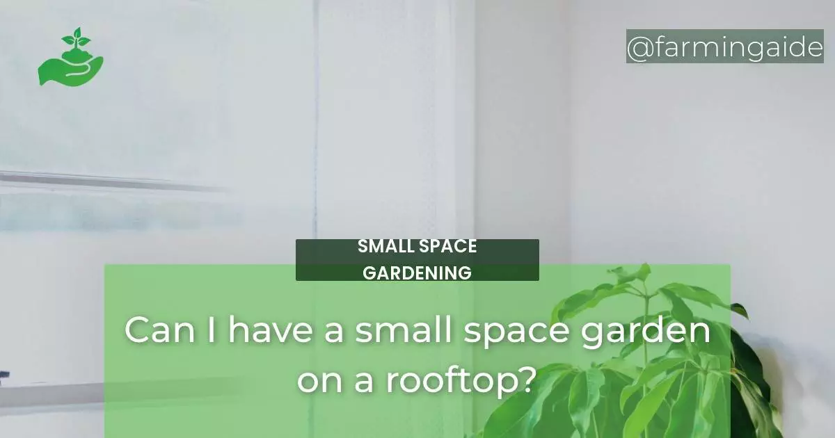 Can I have a small space garden on a rooftop?