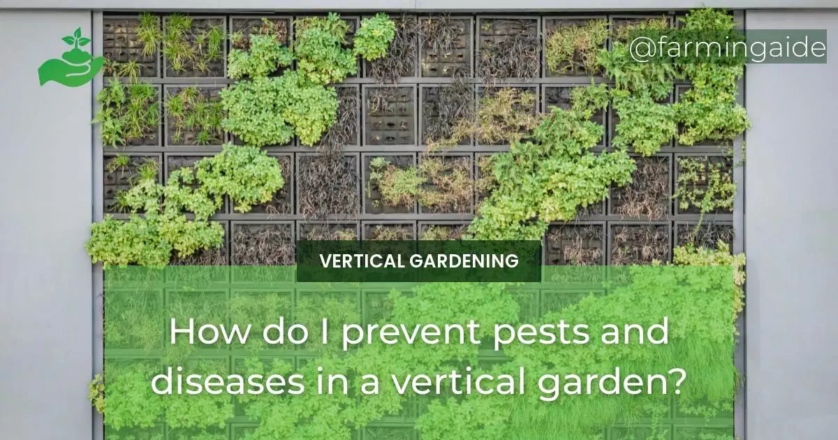 How do I prevent pests and diseases in a vertical garden?