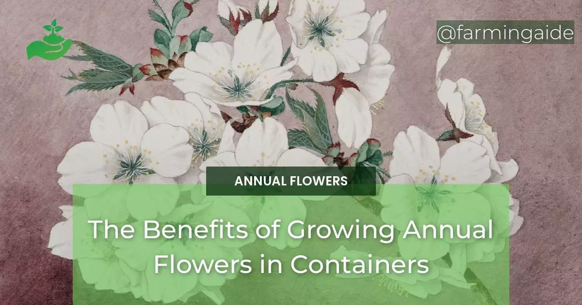 The Benefits of Growing Annual Flowers in Containers