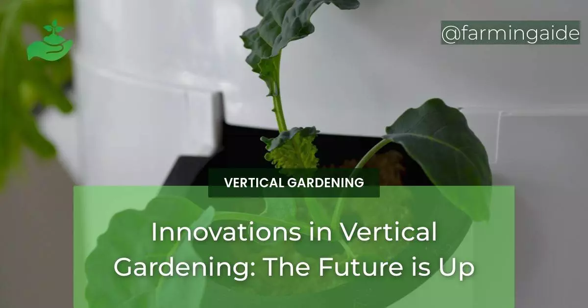 Innovations in Vertical Gardening: The Future is Up