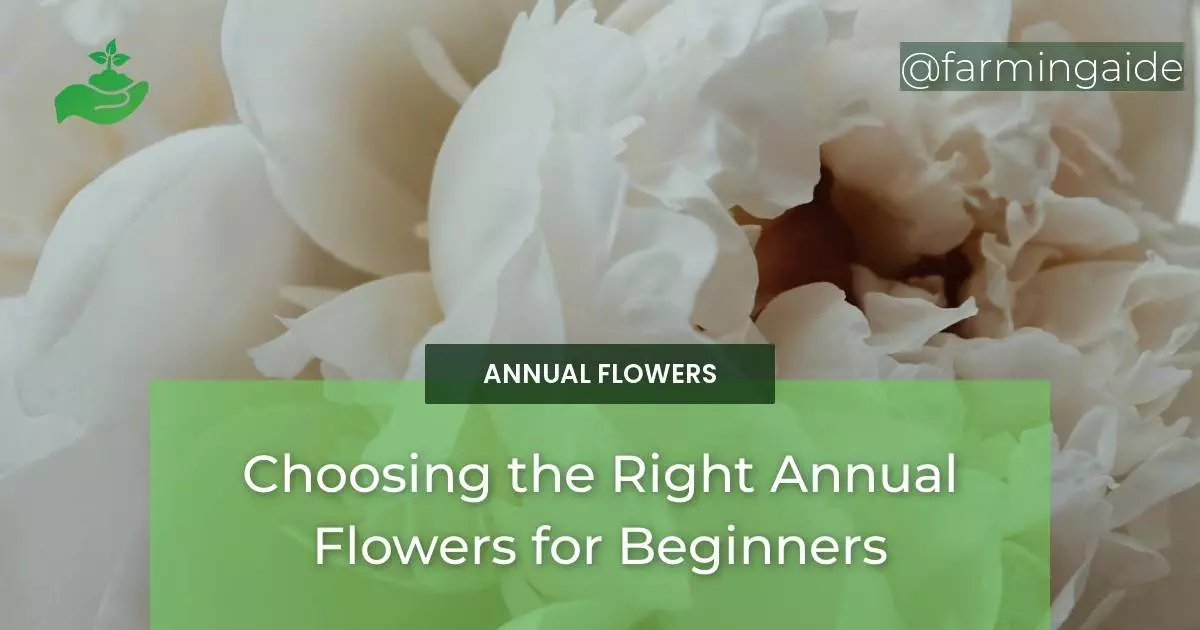 Choosing the Right Annual Flowers for Beginners