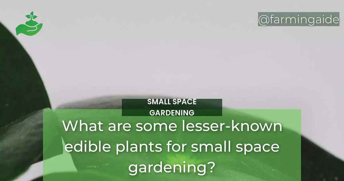 What are some lesser-known edible plants for small space gardening?