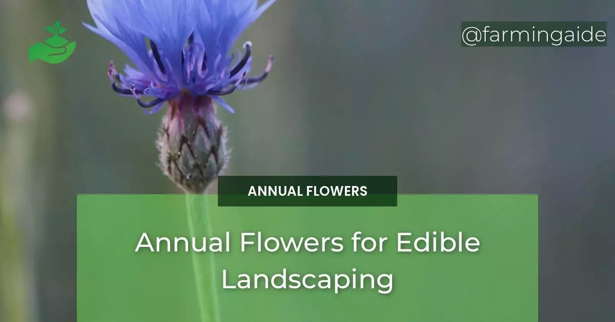 Annual Flowers for Edible Landscaping