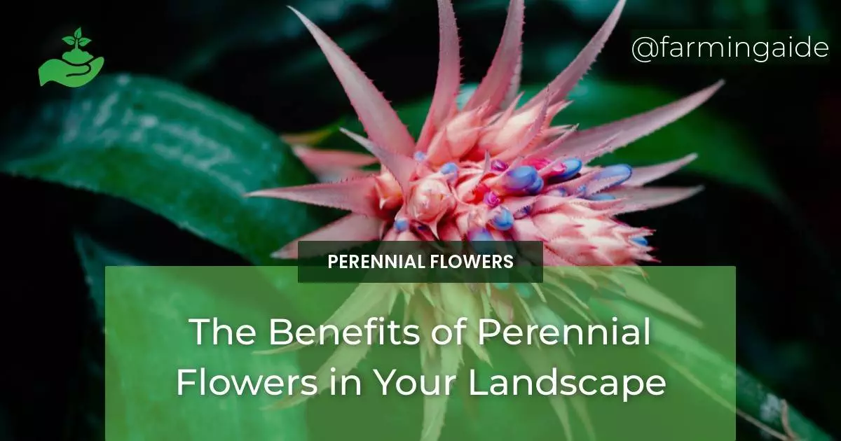 The Benefits of Perennial Flowers in Your Landscape