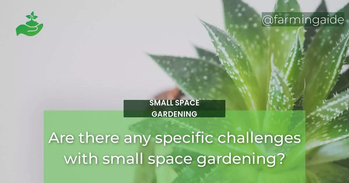 Are there any specific challenges with small space gardening?