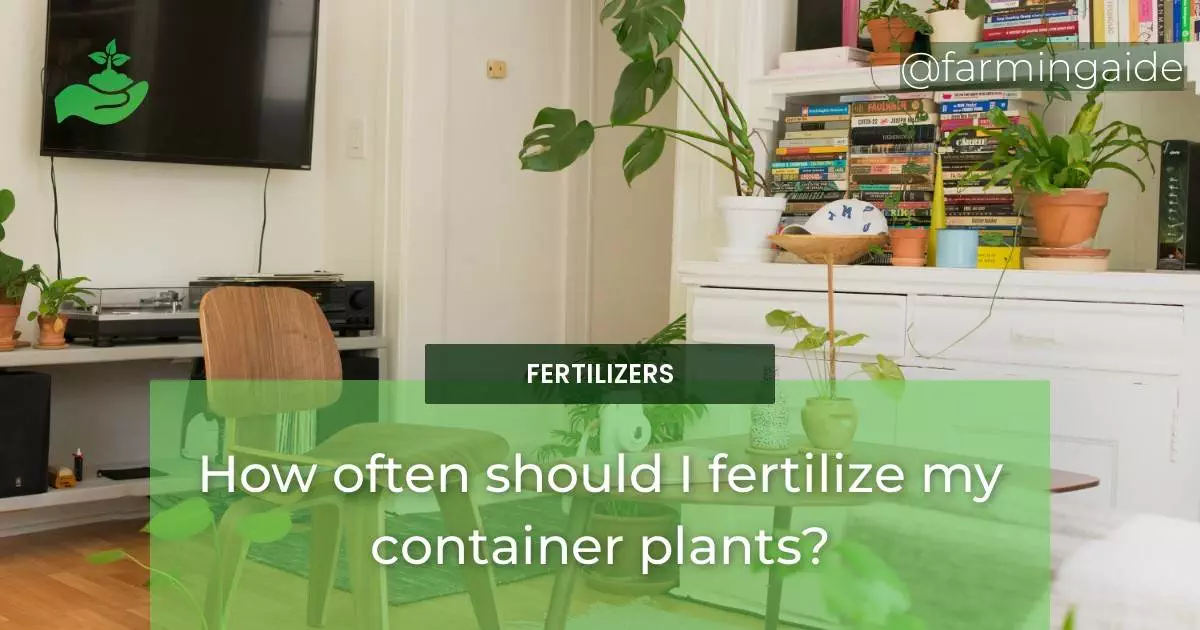 How often should I fertilize my container plants?