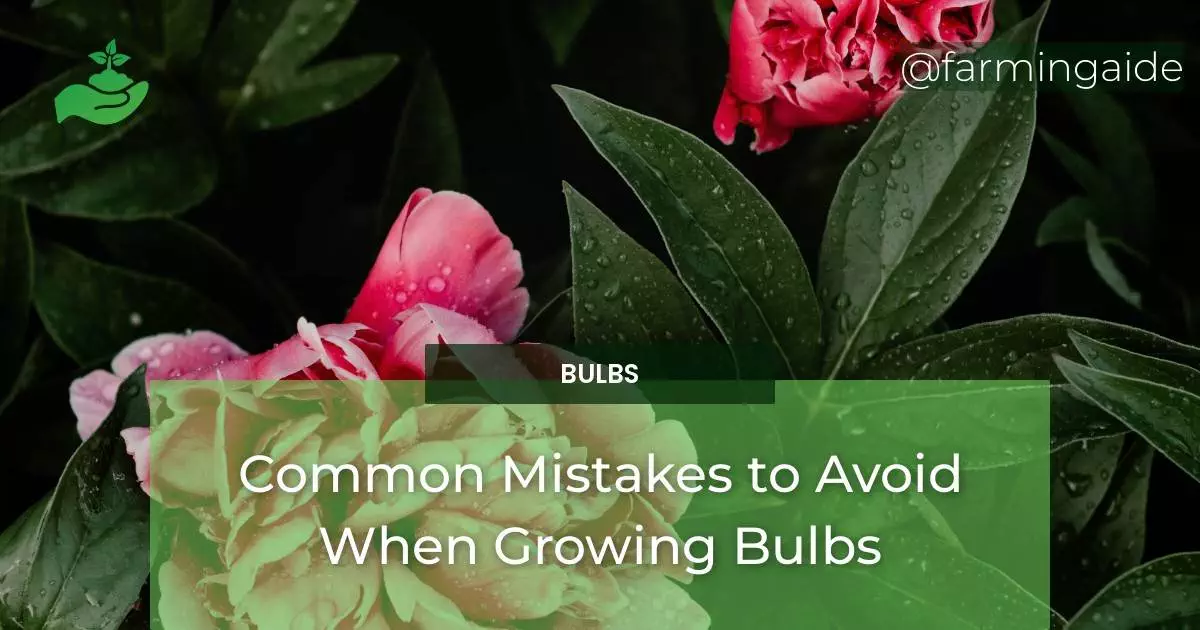 Common Mistakes to Avoid When Growing Bulbs
