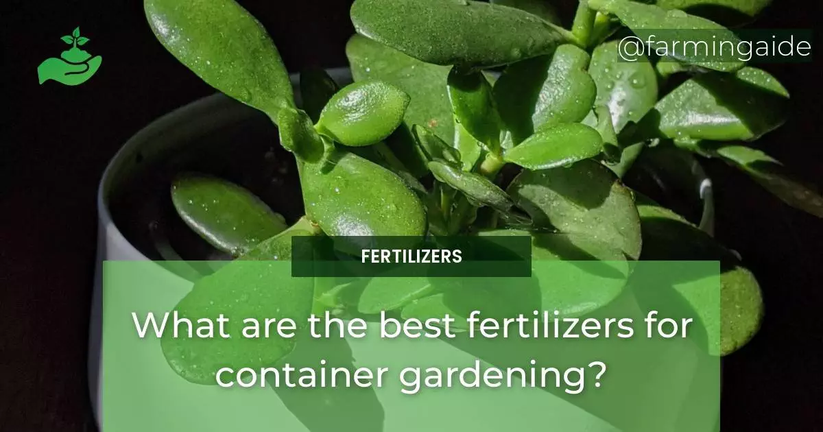What are the best fertilizers for container gardening?
