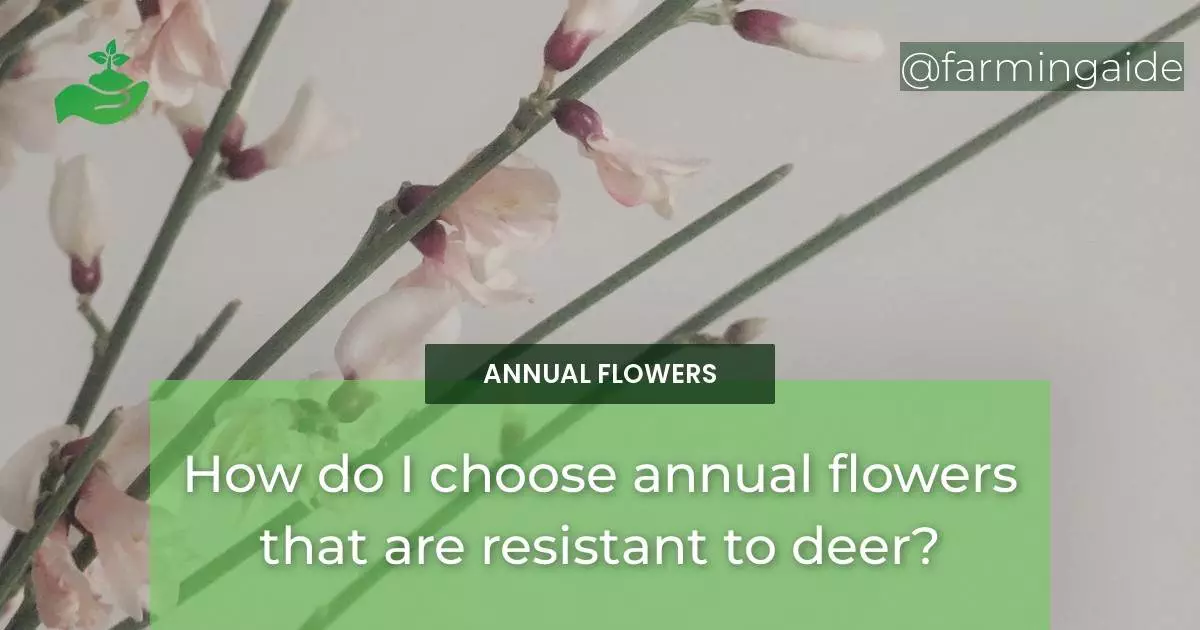 How do I choose annual flowers that are resistant to deer?