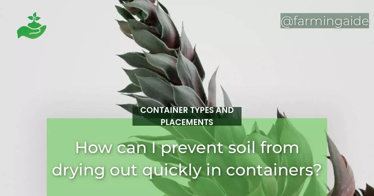 How can I prevent soil from drying out quickly in containers?