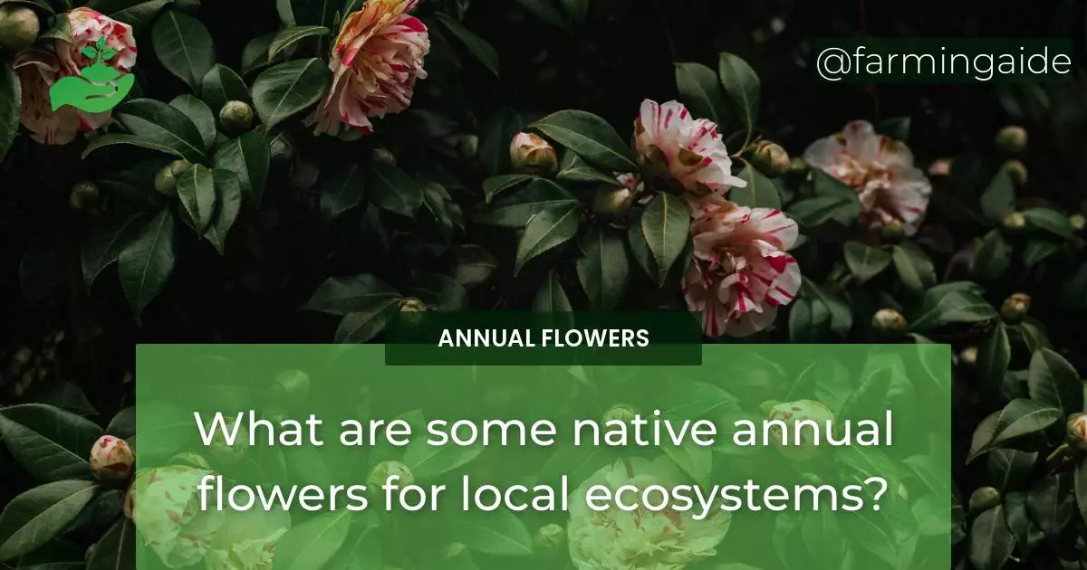 What are some native annual flowers for local ecosystems?
