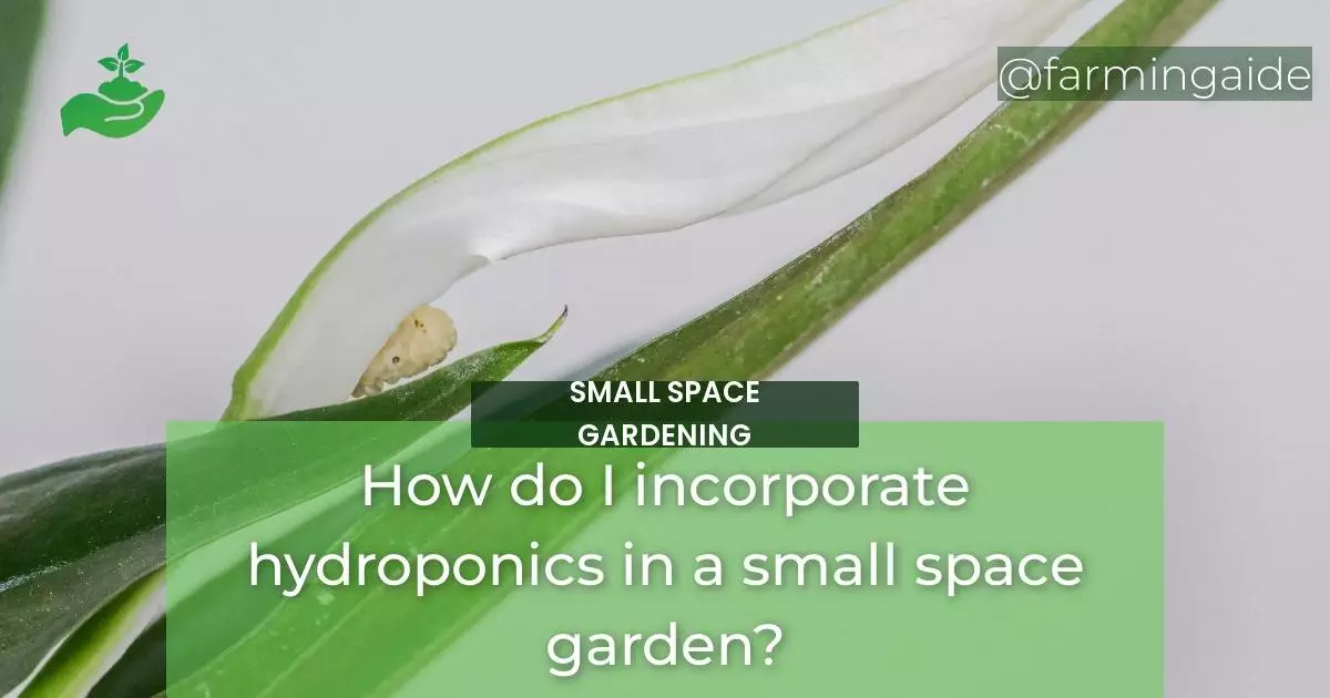 How do I incorporate hydroponics in a small space garden?