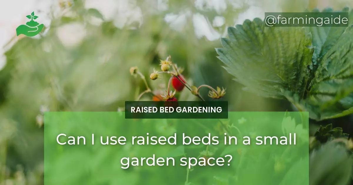 Can I use raised beds in a small garden space?