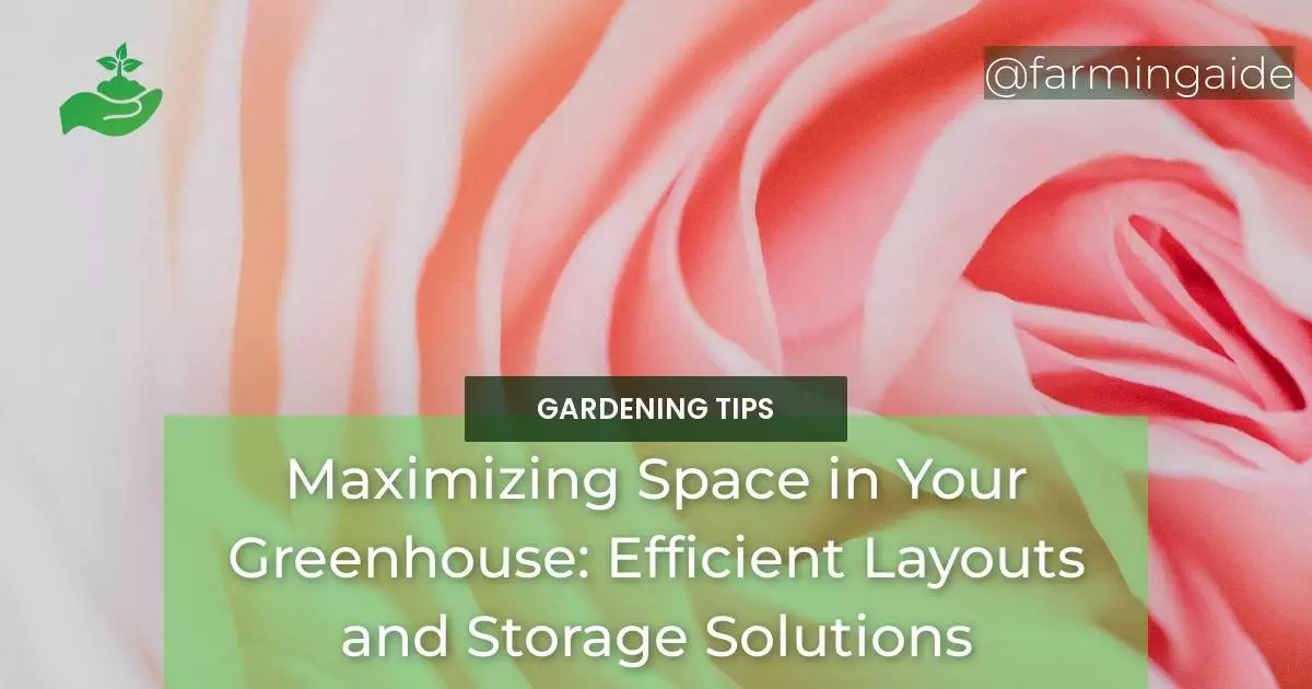 Maximizing Space in Your Greenhouse: Efficient Layouts and Storage Solutions