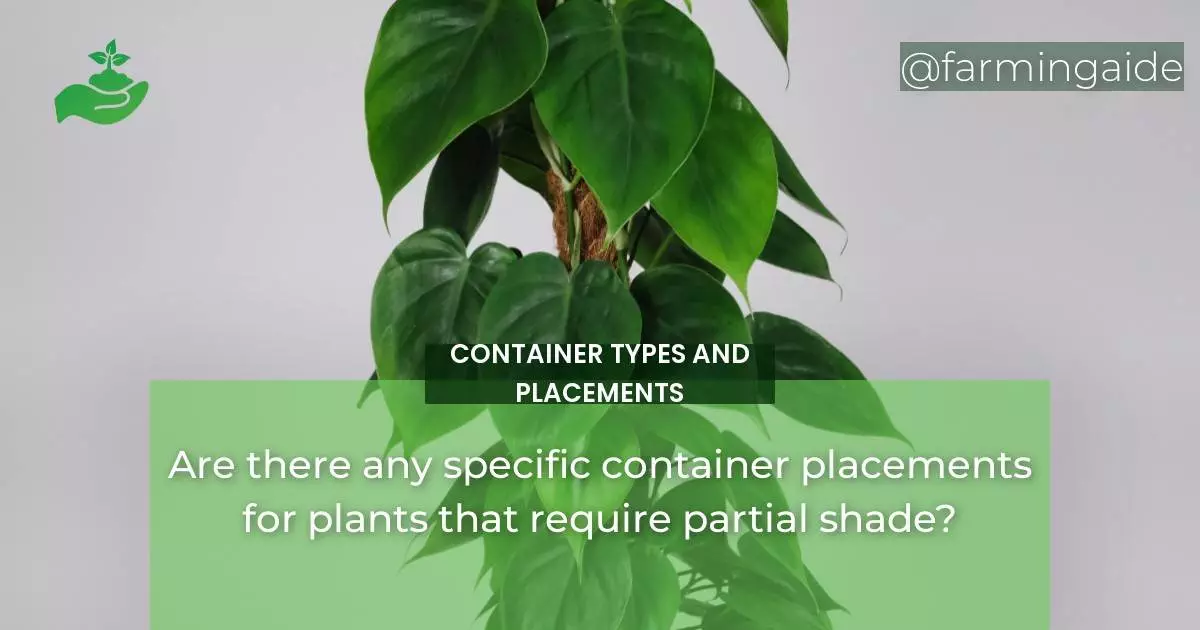 Are there any specific container placements for plants that require partial shade?