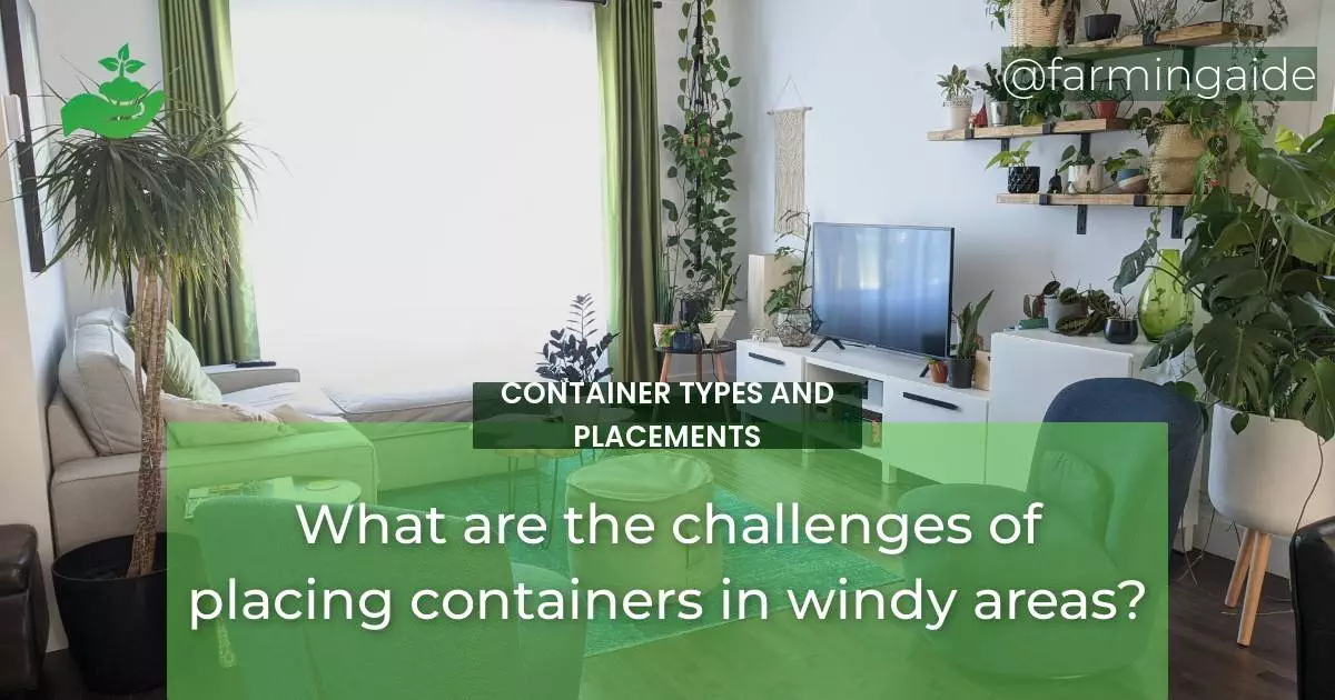 What are the challenges of placing containers in windy areas?