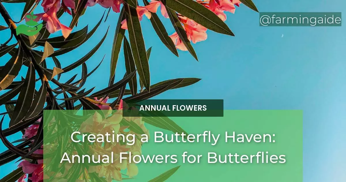 Creating a Butterfly Haven: Annual Flowers for Butterflies