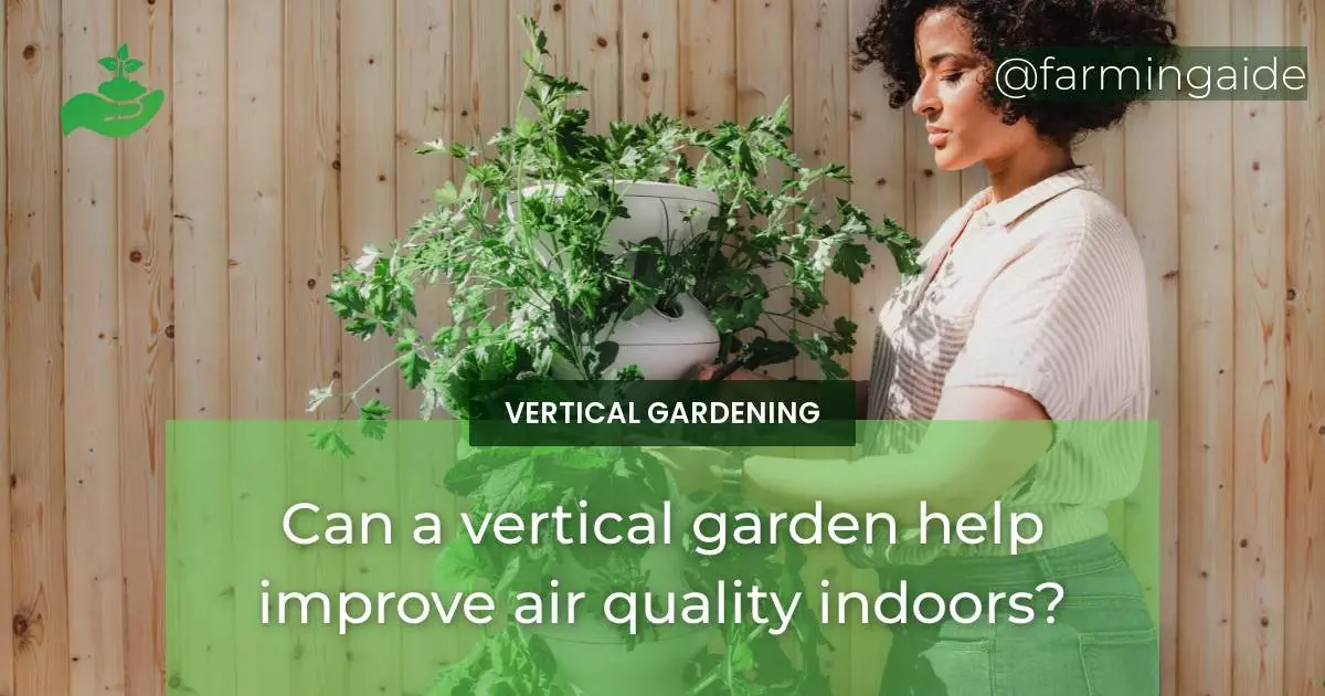 Can a vertical garden help improve air quality indoors?