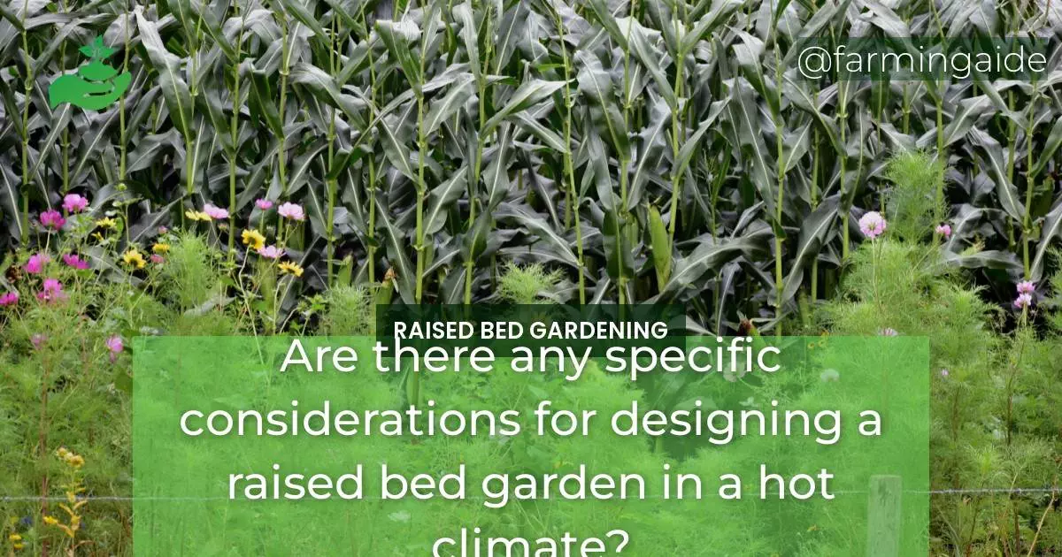 Are there any specific considerations for designing a raised bed garden in a hot climate?