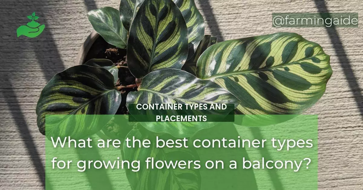What are the best container types for growing flowers on a balcony?