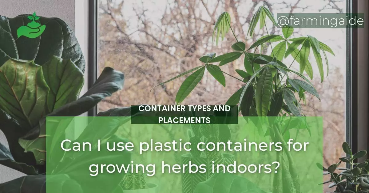Can I use plastic containers for growing herbs indoors?