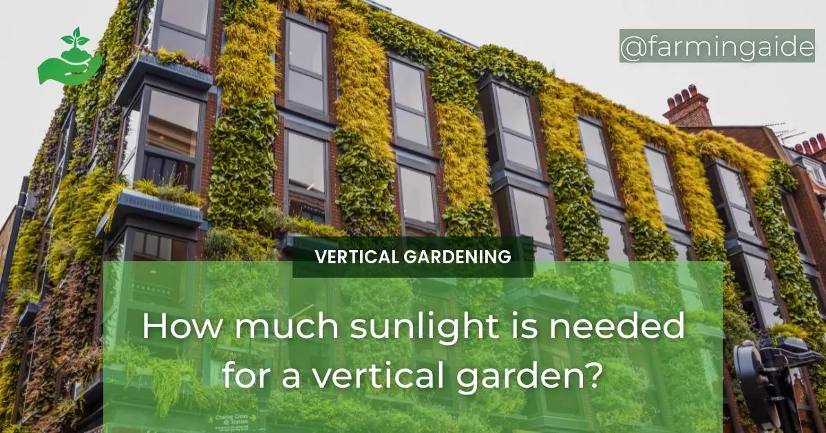 How much sunlight is needed for a vertical garden?