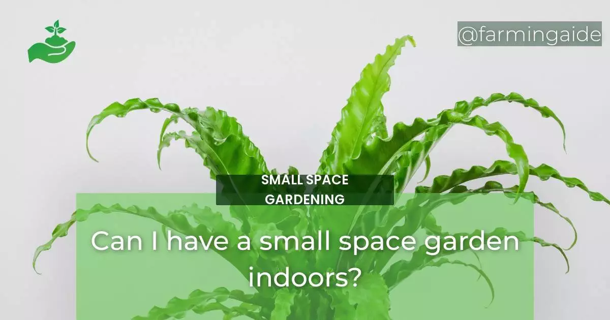 Can I have a small space garden indoors?