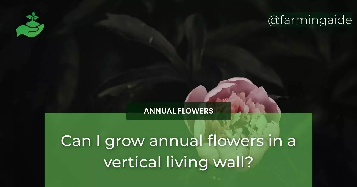 Can I grow annual flowers in a vertical living wall?