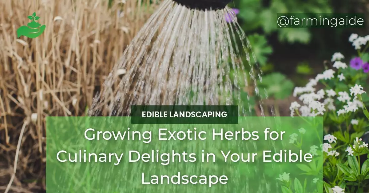 Growing Exotic Herbs for Culinary Delights in Your Edible Landscape
