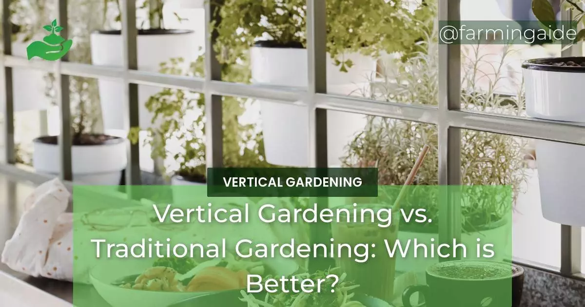 Vertical Gardening vs. Traditional Gardening: Which is Better?
