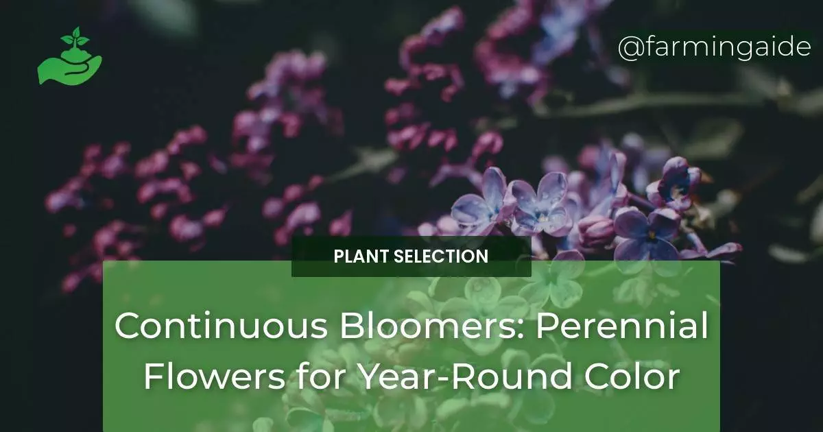 Continuous Bloomers: Perennial Flowers for Year-Round Color