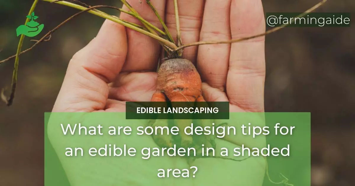 What are some design tips for an edible garden in a shaded area?