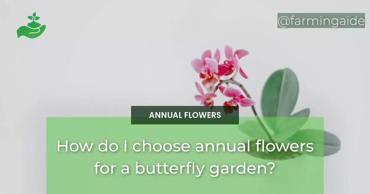How do I choose annual flowers for a butterfly garden?