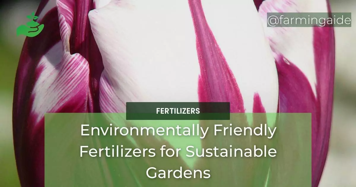 Environmentally Friendly Fertilizers for Sustainable Gardens