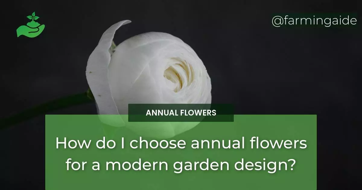 How do I choose annual flowers for a modern garden design?