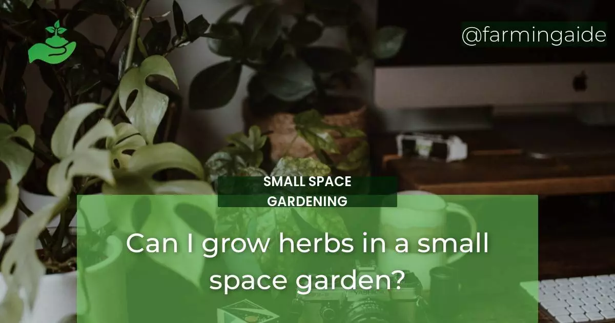 Can I grow herbs in a small space garden?