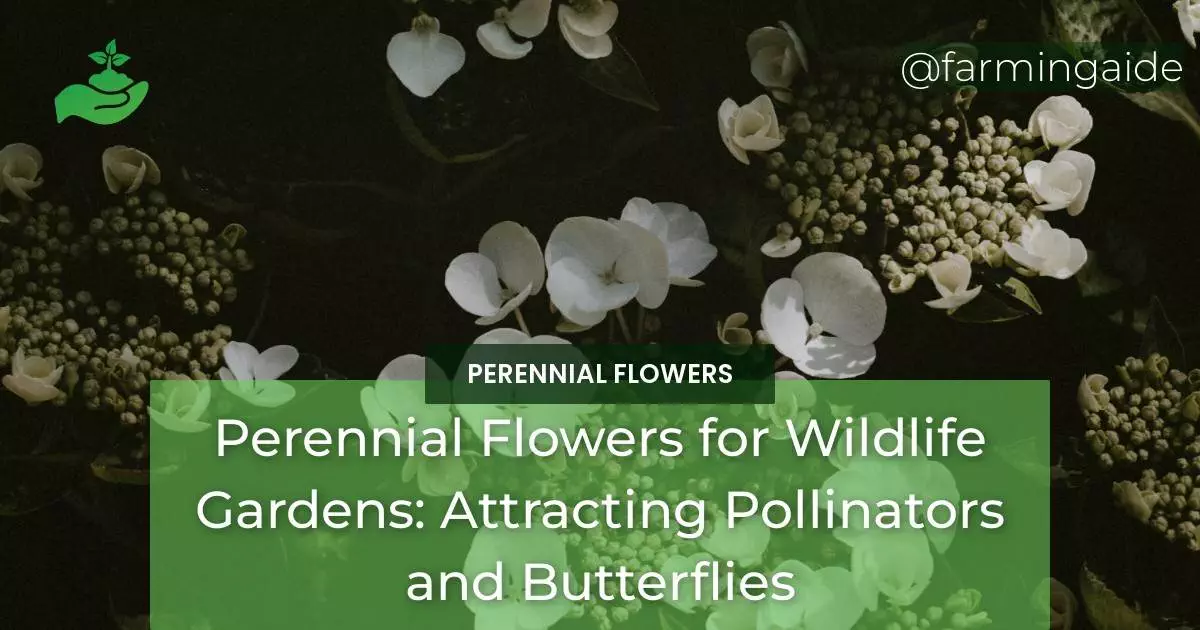 Perennial Flowers for Wildlife Gardens: Attracting Pollinators and Butterflies