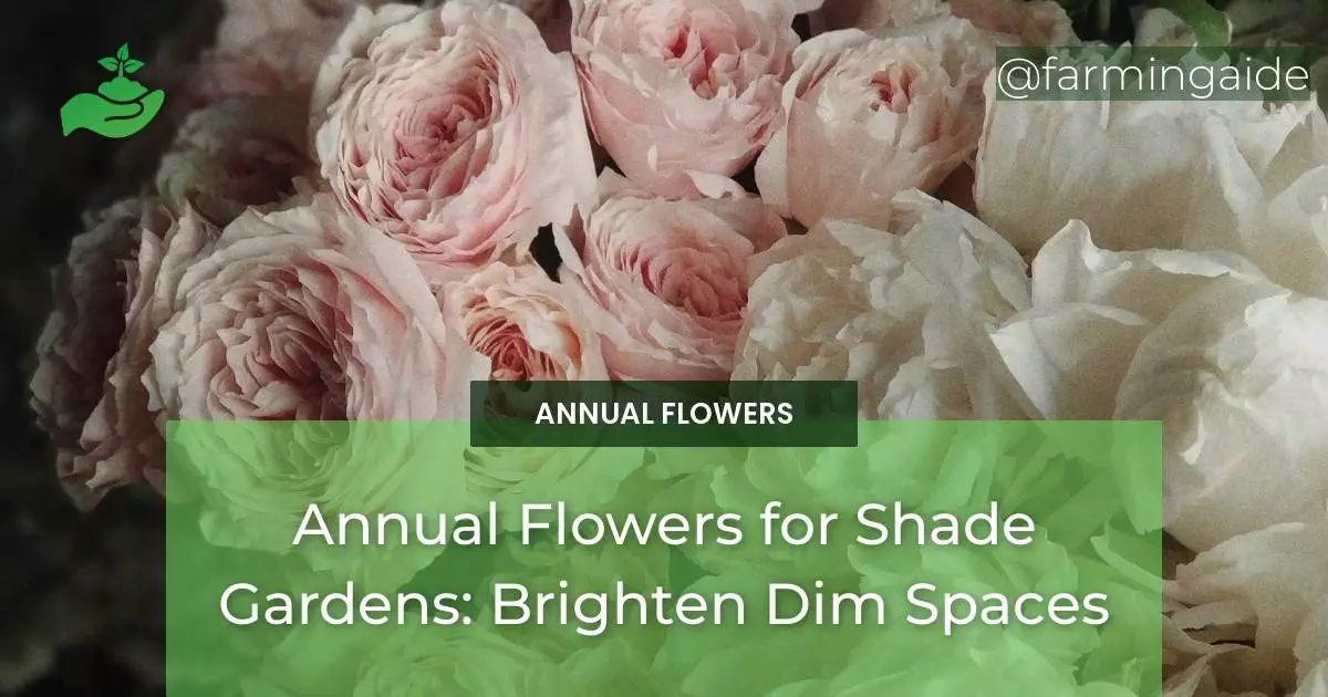 Annual Flowers for Shade Gardens: Brighten Dim Spaces