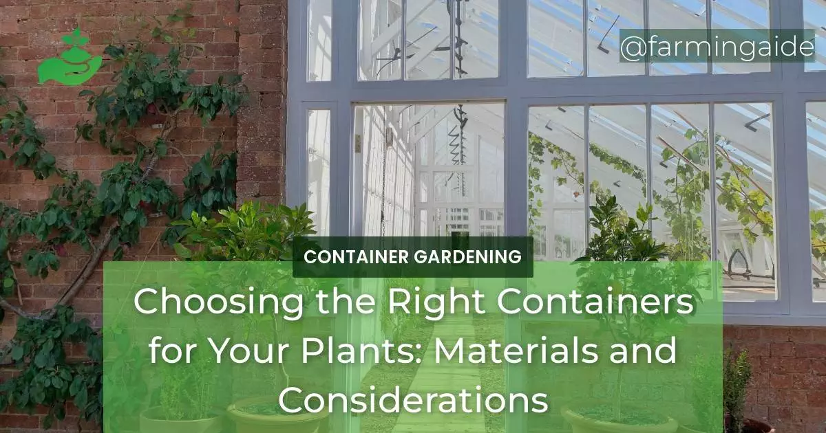 Choosing the Right Containers for Your Plants: Materials and Considerations