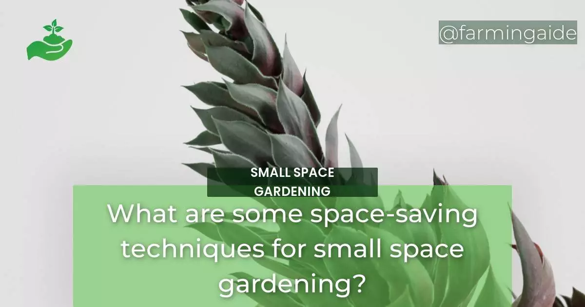 What are some space-saving techniques for small space gardening?